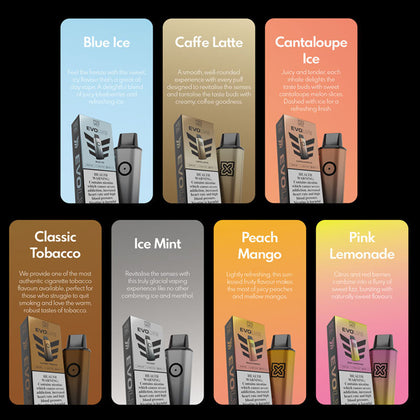 POD SALT EVOLVE 6000 Puffs